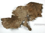 Fabric fragment; CG12.g