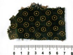 Fabric fragment; CG12.a