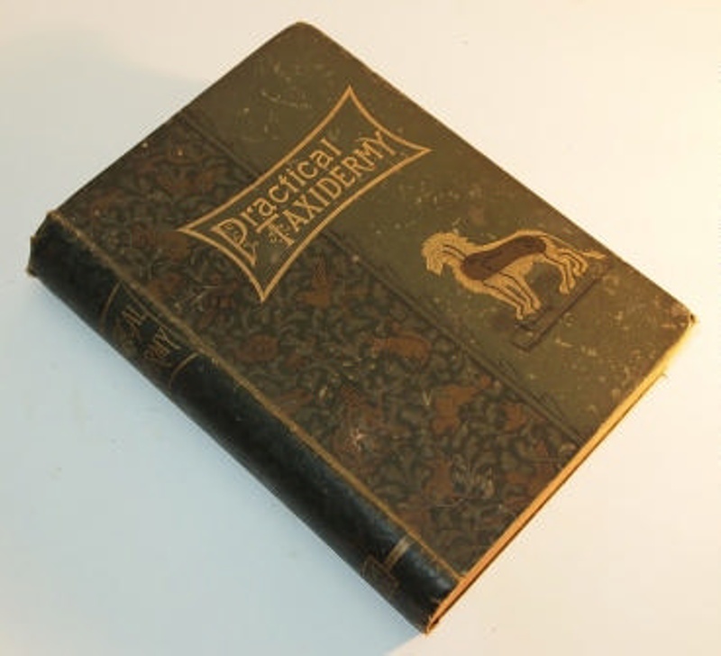 Practical Taxidermy; Browne, Montagu; 1884; T129