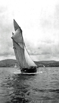 Irazu; P_OM_E_23b | eHive