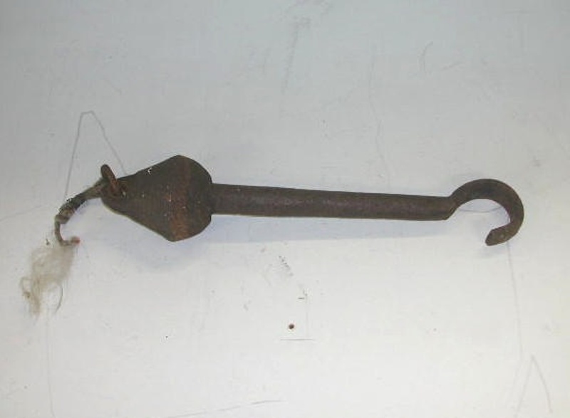 Bell Clapper; A_2005002 eHive