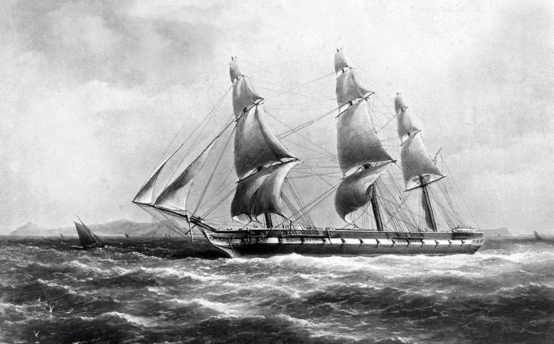 Galatea HMS; P_OM_Z_9a eHive