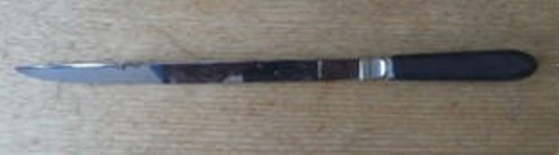 Straight Amputation Knife; A_2024-051 | eHive
