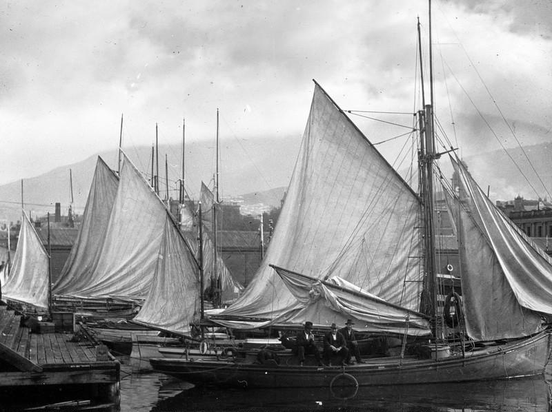 Fishing boats in Hobart; GLS_201450120 eHive