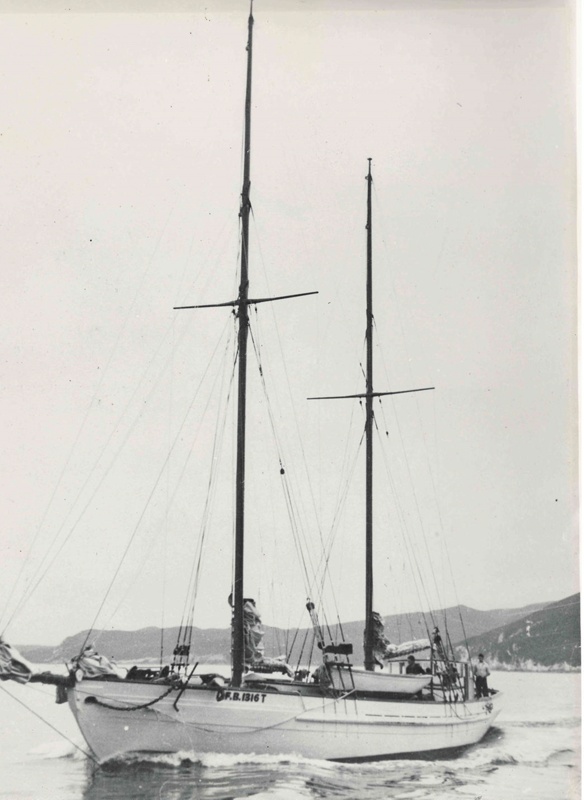 Derwent Hunter Mmt P 19 381 On Ehive