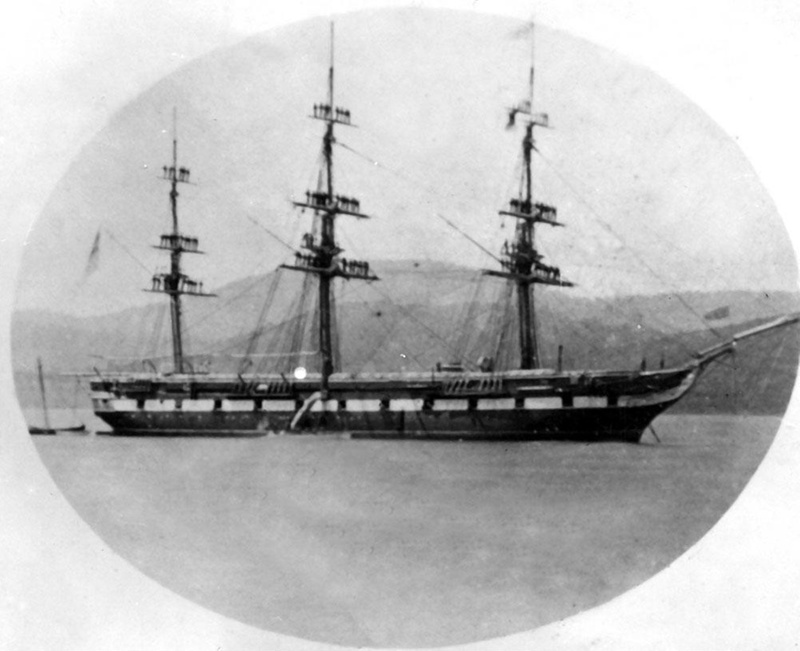 Galatea HMS; P_OM_J_5b eHive