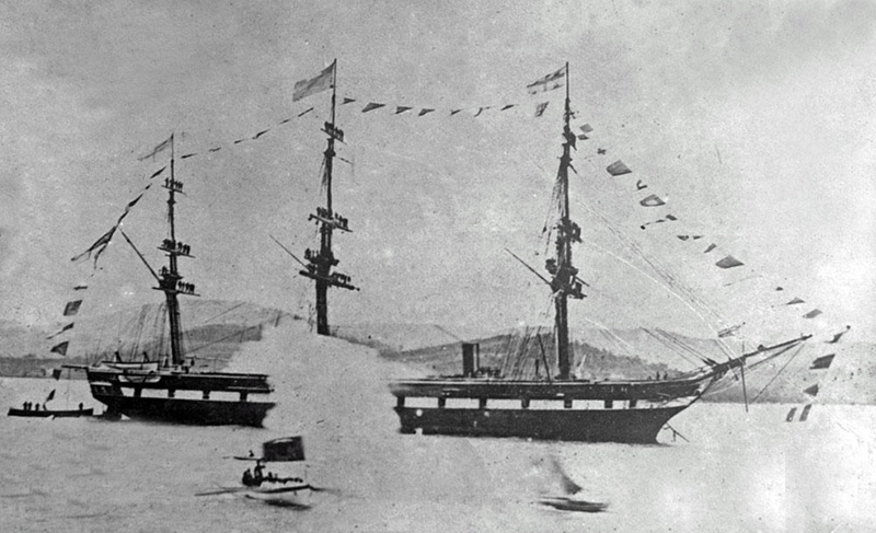 Galatea HMS; P_OM_Z_8a eHive