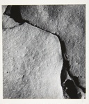 [Untitled, abstraction of a natural form]; Wells, Alice; 1963; 1972:0287:0105