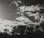 Untitled [Tree line]; Keiper, Elisabeth; ca. 1940s; 1978:0117:0001