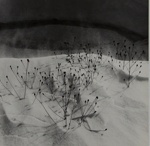 Untitled [Weeds in snow]; Sikes, Larry; ca. 1968; 1971:0137:0001