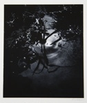 [Untitled, abstract]; Wells, Alice; ca. 1965; 1973:0145:9999