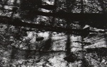 Untitled [Stream]; Mertin, Roger; ca. early 1960s; 1998:0005:0054
