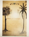 Untitled [Try me...]; Viditz-Ward, Vera; 1985; 2009:0055:0010