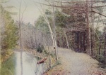 The Old Tow Path; Lamson Studio; 1905; 1986:0023:0006
