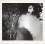 [Untitled, abstraction of natural forms]; Wells, Alice; ca. 1965; 1972:0287:0061