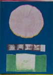 Untitled [Pink circle]; Lyons, Joan; 1972; 1972:0037:0001