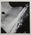 [Untitled, abstract natural form]; Wells, Alice; 1962; 1973:0154:9999