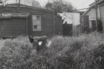 John Gillespie; Baigent, Gary; 1967; 2009:0097:0002