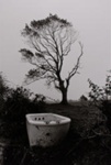 Bathtub; Frajndlich, Abe; 1971; 1987:0016:0001