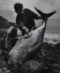 Untitled [Tuna fish]; Miller, Edward; undated; 1979:0035:0009