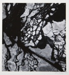 [Untitled, abstract]; Wells, Alice; 1963; 1973:0151:9999