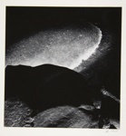 [Untitled, abstraction of a natural form]; Wells, Alice; 1963; 1972:0287:0108