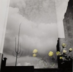 Untitled [Roses]; Jones, Harold; ca. 1967; 1973:0012:0001