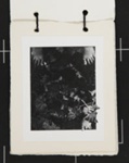 Untitled [Feet in leaves.]; Brown, Lawrie; ca. 1975; 1976:0037:0005