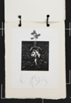 Untitled [Legs and leaves.]; Brown, Lawrie; ca. 1975; 1976:0037:0008