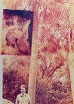 Untitled; Cowin, Eileen; 1974; 1980:0102:0003