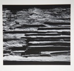 [Untitled, Image of a layer of bark] ; Wells, Alice; ca. 1965 ; 1972:0287:0177