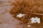 Untitled [Snow, grass, and gravel]; Klett, Mark; 1975; 2011:0011:0012