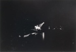 Untitled [Horse and spotlight]; Richardson, Ronald; ca. 1973; 1973:0110:0001