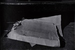 Untitled [Cardboard]; Blumberg, Donald; 1973; 1976:0002:0003