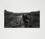Untitled [Two young women and a young girl walking on a trail]; Brese, Denis; 1973; 1973:0061:0001