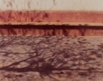 [untitled]; Collinc, Kathleen; 1974; 1974:0069:0007
