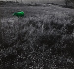 A Green Cow; Jones, Harold; 1968; 1973:0014:0001