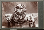[Shrine on table with flowers and photograph of woman in center]; Nicol & Son; 1974:0040:0018