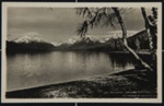 THE BIRCH TREE LAKE MCDONALD; Marble, R.E.; c.a. 1910; 1975:0041:0113 
