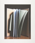Untitled [Open book]; Manchee, Doug; 2008; 2009:0060:0051