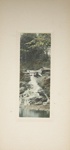 Untitled [Cascade]; Thompson, Fred; ca. 1900s; 1986:0026:0002