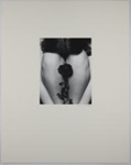 Untitled [Woman with rose]; Votaw, Bill; 1974; 1978:0129:0020