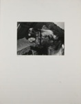 Untitled [Donkey]; Brink, Ben; ca. 1975; 1976:0033:0019