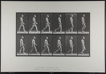 Walking. [M. 6]; Da Copa Press; Muybridge, Eadweard; 1887; 1972:0288:0005 
