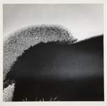 [Untitled, abstract natural form]; Wells, Alice; ca. 1965; 1973:0146:9999