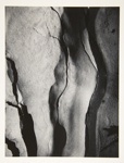 [Untitled, image stone crevices]; Wells, Alice; ca. 1963; 1972:0287:0096