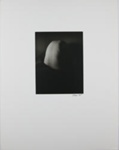 Untitled [Nude back]; Lisherness, Stacy; 1975; 1976:0033:0012