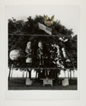 All - American Family Tree; Uelsmann, Jerry; 1966; 1971:0114:0001