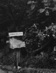Edward's Mail Box; Colwell, Larry; ca. 1950s; 2000:0081:0004