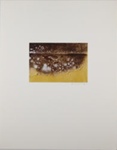Untitled [Rusted metal]; Votaw, Bill; ca. 1975; 1976:0033:0008